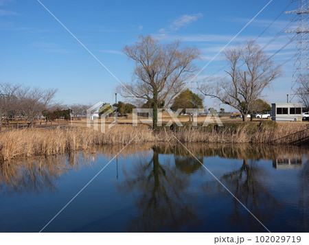 河内町散策 河内町散策 102029719