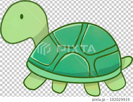 Cute turtle cartoon for illustration, element, clip art and kid Cute turtle cartoon for illustration, element, clip art and kid 102029919