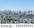 東京タワーの見える六本木周辺の眺め 102030543