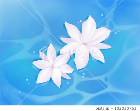 水辺の花 画 水面に浮かぶ2輪のピカケ（マツリカ）の花のイラスト（水彩）の