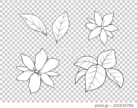 簡單的 picake (Matsurika) 花葉線描插圖集 102030766