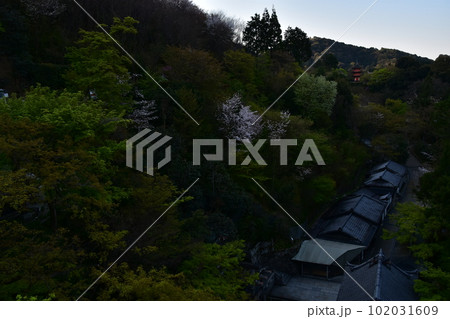 日本の京都　早朝の清水寺　清水の舞台と呼ばれる本堂からの展望　音羽の瀧と美しい桜と街並み 102031609