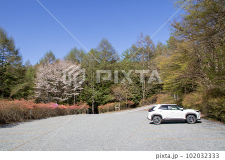 春の赤城森林公園 第二駐車場 春の赤城森林公園 第二駐車場 102032333