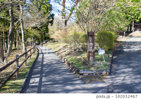 春の赤城森林公園　ふれあいの森　ふれあい歩道 102032467