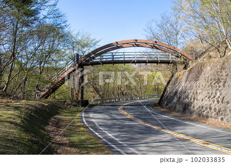 春の赤城森林公園 ふれあいの森 森のかけはし 春の赤城森林公園 ふれあいの森 森のかけはし 102033835