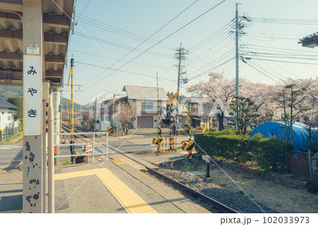 【城前の桜並木】飯田線・宮木駅【上伊那郡辰野町伊那富】 102033973