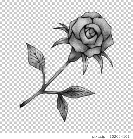 一朵玫瑰（單品）/水墨風 102034101