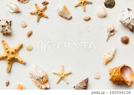Summer time concept Flat lay composition with beautiful starfish and sea shells on colored table, top view with copy space for text Summer time concept Flat lay composition with beautiful starfish and sea shells on colored table, top view with copy space for text 102034216