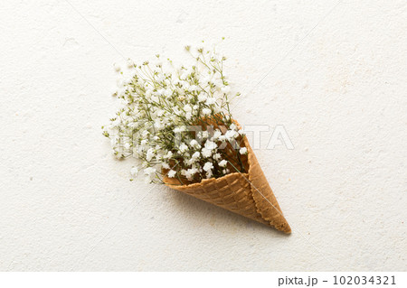 Waffle cone with beautiful gypsophila flowers on color background. summer concept. Copy space top view 102034321