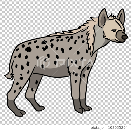 鬣狗簡單的線條畫插圖 鬣狗簡單的線條畫插圖 102035294