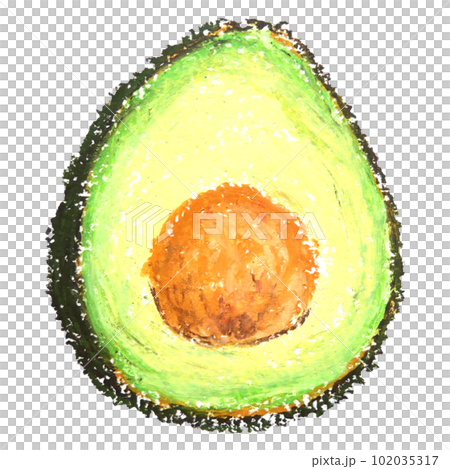 アボカド手描きイラスト 102035317