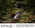 油山市民の森の白波の滝 102036050