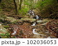油山市民の森の白波の滝 102036053