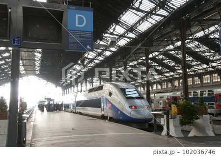 TGV（パリ・リヨン駅） 102036746