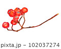 ナナカマド水彩画手描き 102037274