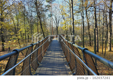 The eco pathway is located in the area of the Landscape Park "Wild Nature" in Moscow. 102037281