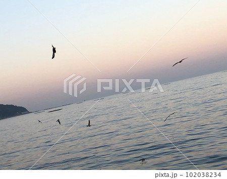 海辺で鳥の群れが飛び回る写真。 102038234