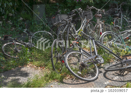 草むらに捨てられた放置自転車 草むらに捨てられた放置自転車 102039057