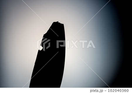 Damaged plastic drone rotor propeller blade caused by flying into an object and crashing. 102040360