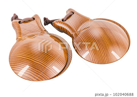 Castanets, 3d rendering 102040688