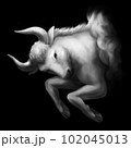 おうし座　十二星座 102045013