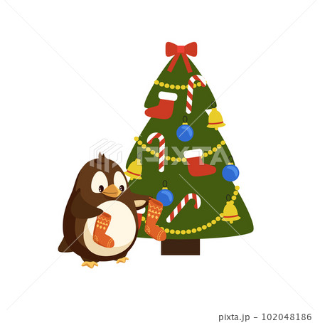 Penguin with Knitted Socks near Christmas Tree Penguin with Knitted Socks near Christmas Tree 102048186