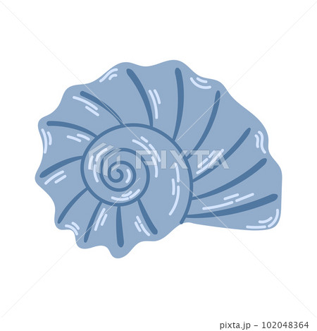 Underwater sea shell of round spiral shape. Striped clam shell. Modern flat style illustration isolated on white background. Underwater sea shell of round spiral shape. Striped clam shell. Modern flat style illustration isolated on white background. 102048364