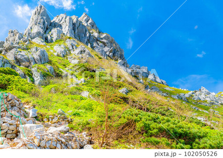 【初夏素材】千畳敷カールの登山風景【長野県】 【初夏素材】千畳敷カールの登山風景【長野県】 102050526