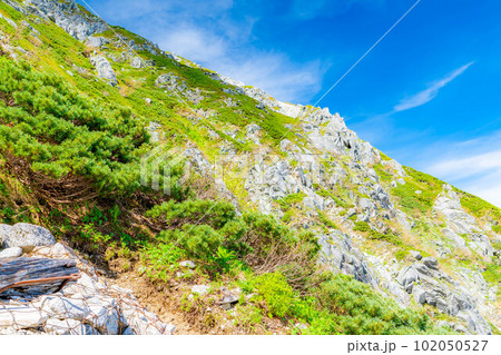 【初夏素材】千畳敷カールの登山風景【長野県】 102050527