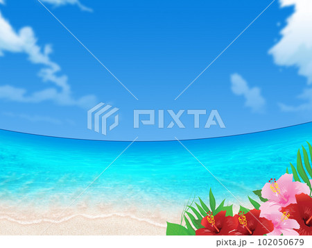 美しい海と夏空とハイビスカス 102050679