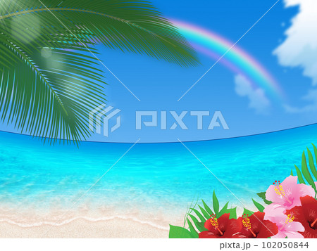 美しい海と夏空とハイビスカス 102050844