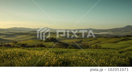 Panorama of  Tuscan landscape in Val d'Orcia, Tuscany, Italy 102051071