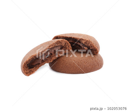 Tasty homemade chocolate cookies on white background Tasty homemade chocolate cookies on white background 102053076