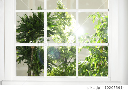 Beautiful view through window on garden in morning Beautiful view through window on garden in morning 102053914