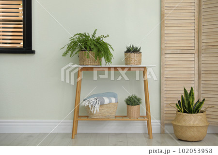 Houseplants in wicker pots indoors. Interior design 102053958