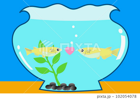 メダカ メダカ 102054078