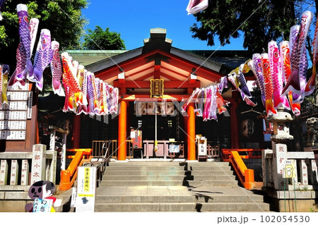 東京都板橋区熊野町 熊野神社 東京都板橋区熊野町 熊野神社 102054530