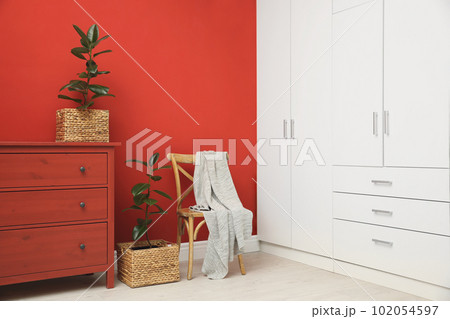 Tropical plants in wicker pots near red wall at home 102054597