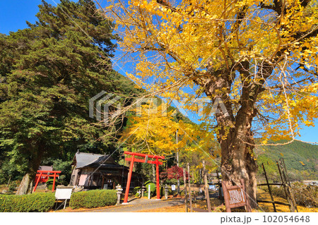 万江稲荷神社 万江稲荷神社 102054648