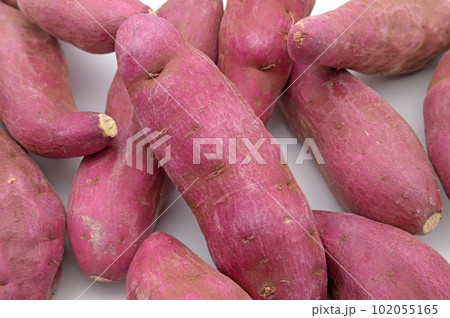 徳島県産の大津なると金時・白バック 102055165