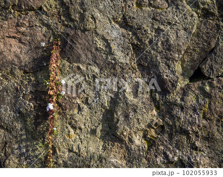 Background of uneven stone. Stone wall. Old masonry. Remains of architecture Background of uneven stone. Stone wall. Old masonry. Remains of architecture 102055933
