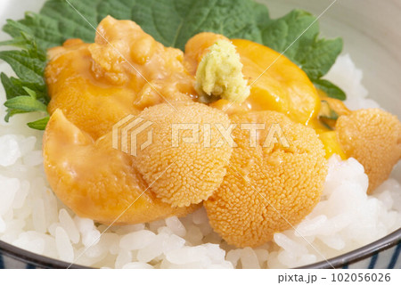 美味しいウニご飯 102056026