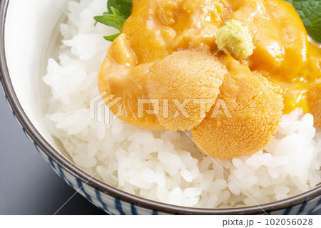 美味しいウニご飯 美味しいウニご飯 102056028