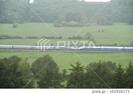 TGV 102056175