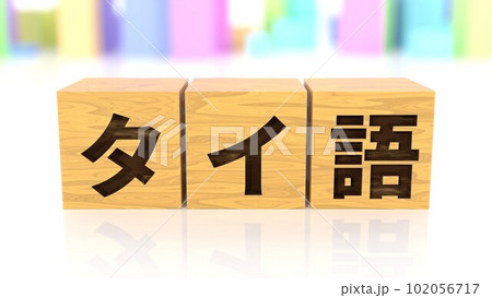 タイ語という言語名が印字された木製ブロック 102056717