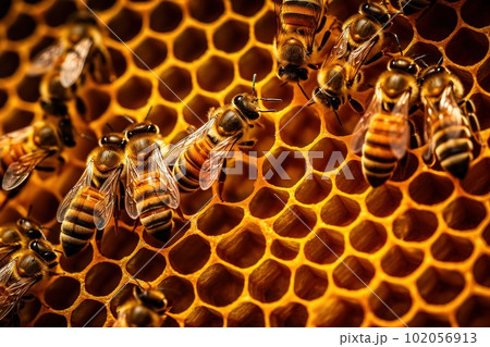 Macro View Of Honeybees Working Diligently...のイラスト素材 [102056913] - PIXTA