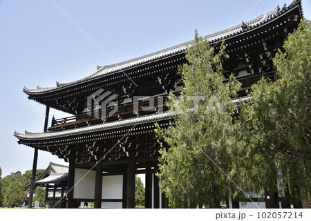 東福寺 三門 東福寺 三門 102057214