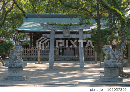 日本三大八幡・筥崎宮の西末社 日本三大八幡・筥崎宮の西末社 102057295