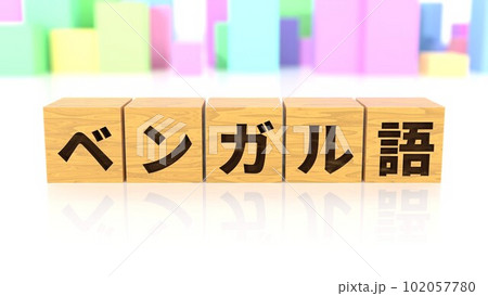 ベンガル語という言語名が印字された木製ブロック ベンガル語という言語名が印字された木製ブロック 102057780