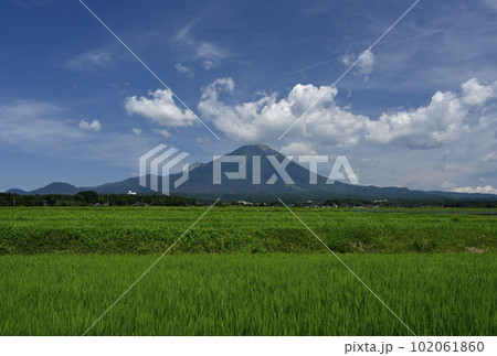 夏の大山 102061860